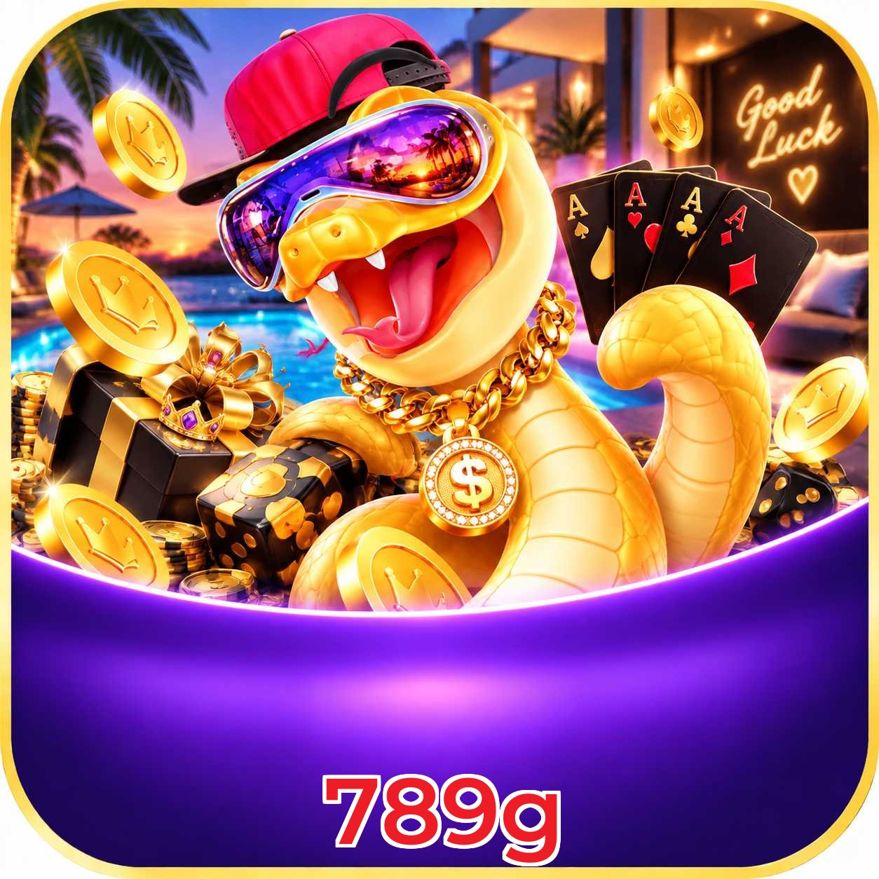 789g Logo 3